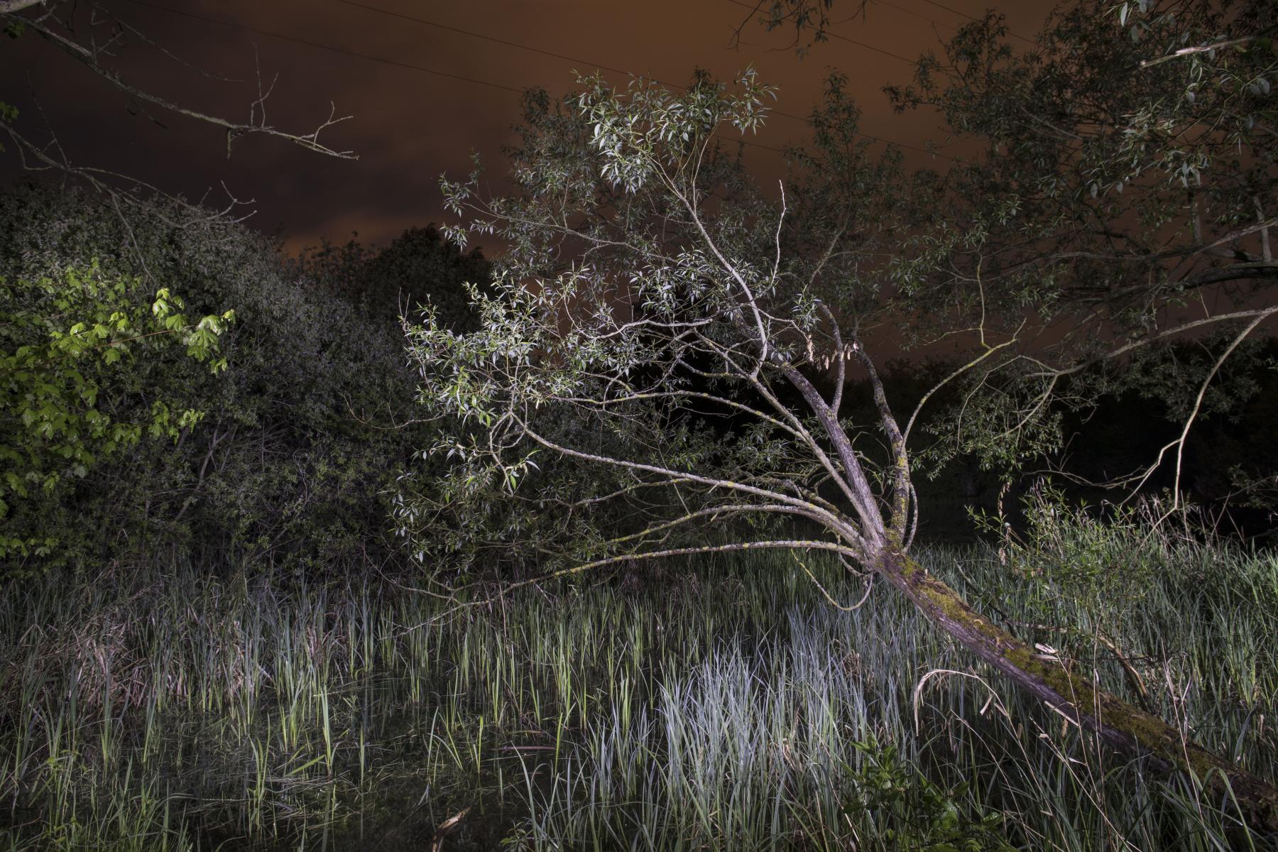 Alem_Kolbus_Mirror_Territories-4