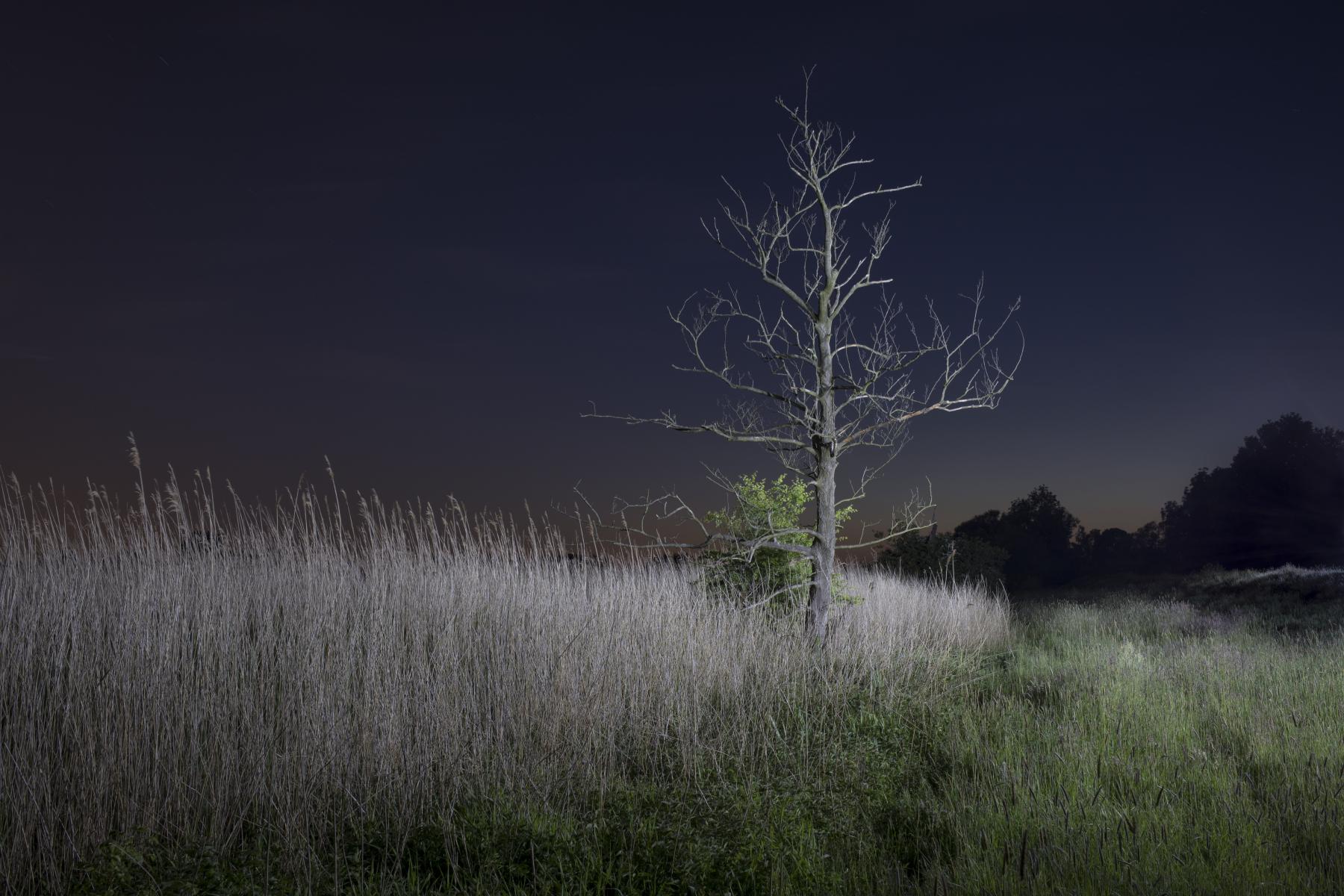 Alem_Kolbus_Mirror_Territories-5