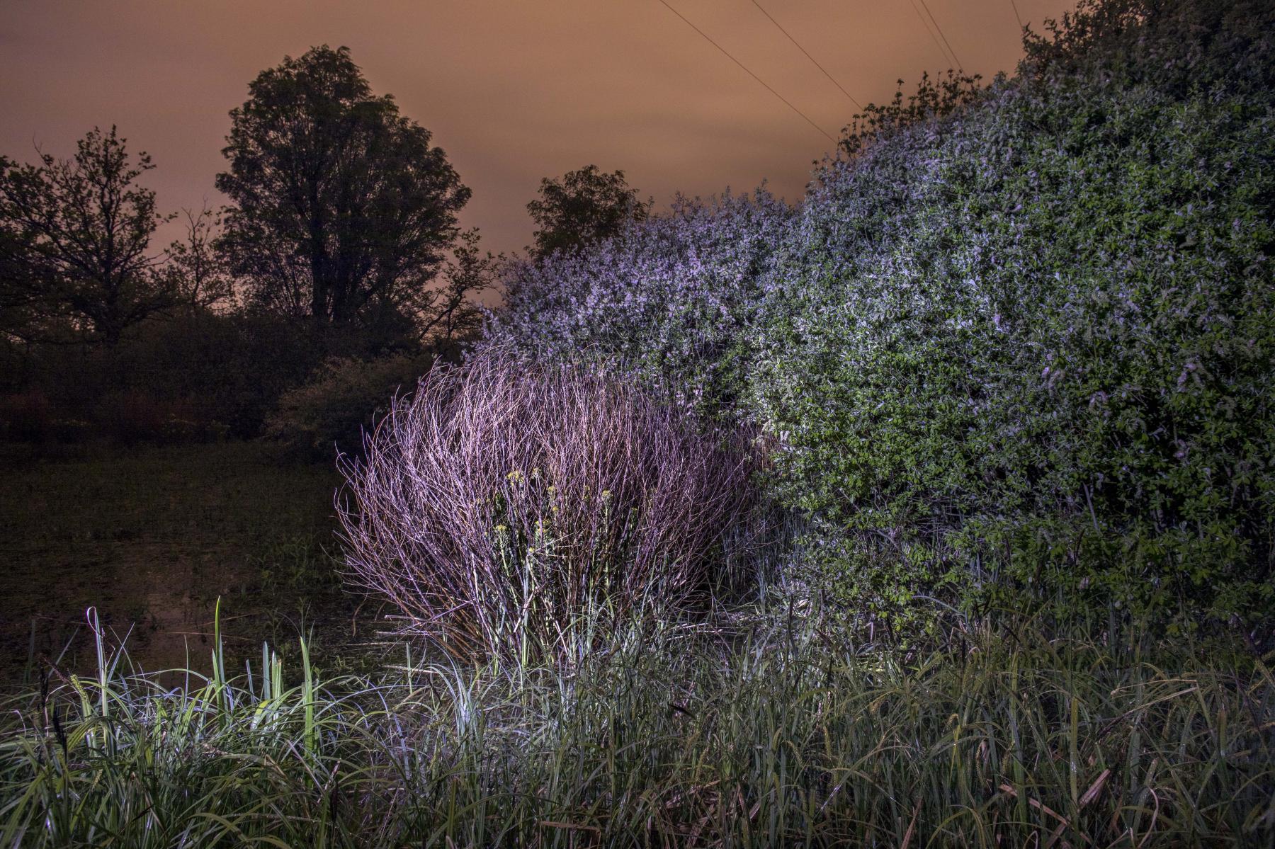 Alem_Kolbus_Mirror_Territories-6