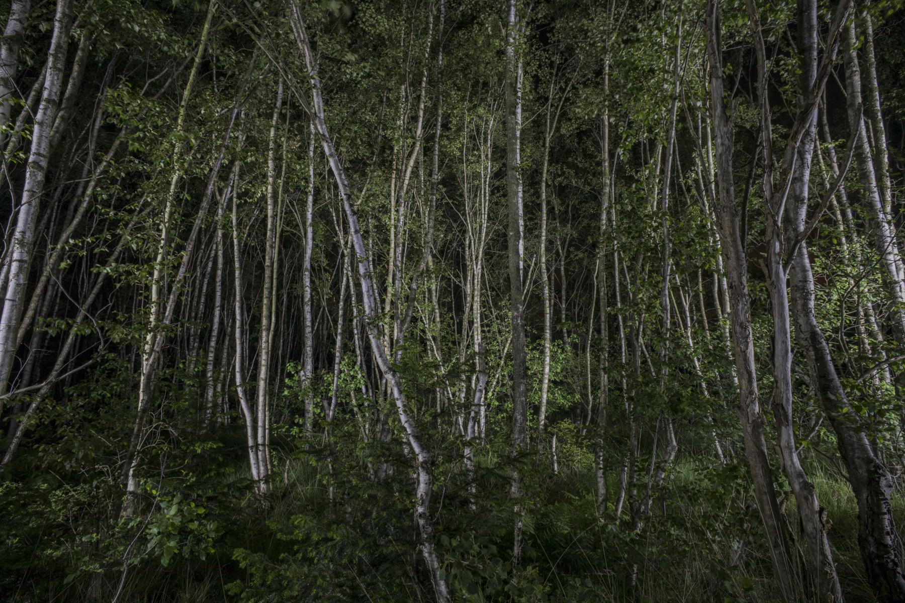 Alem_Kolbus_Mirror_Territories-7