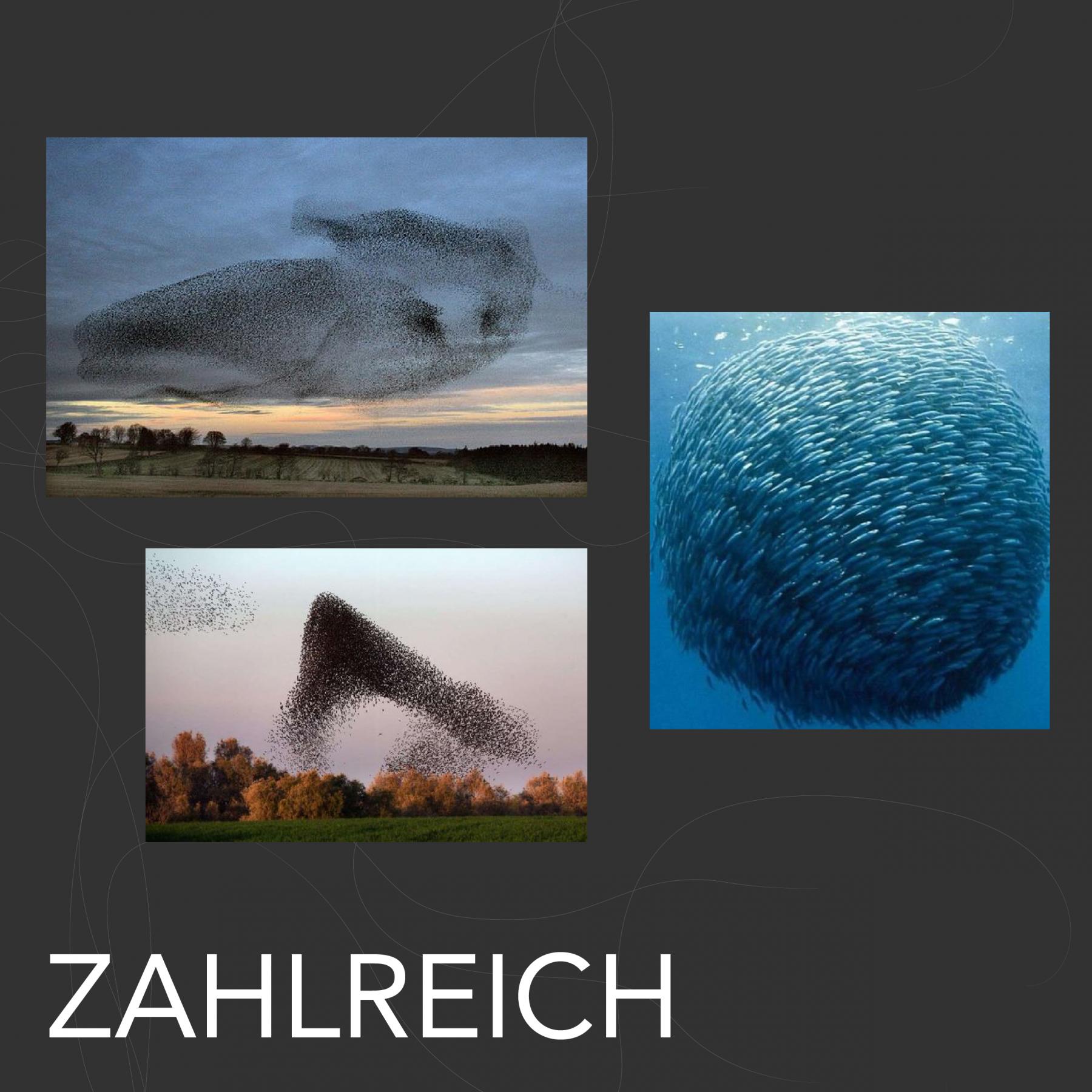 Visuelles Motiv Zahlreich